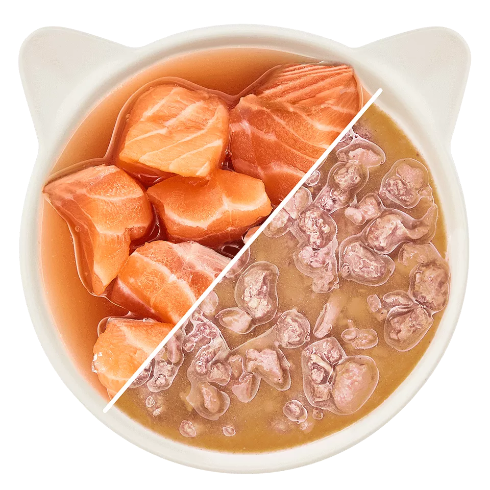 WOW CAT, sobre de salmón en salsa para gatos
